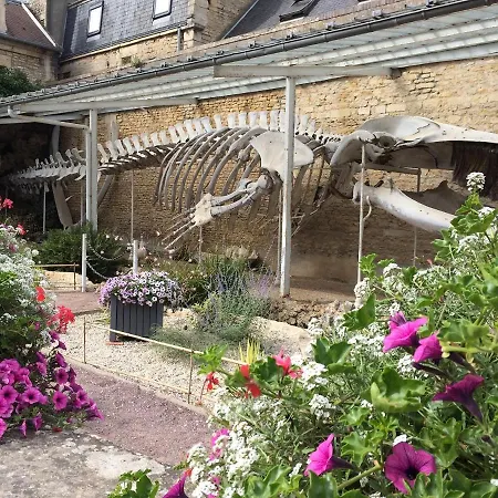 Le Caprice De La - Maison Avec Veranda, Jardin * Luc-sur-Mer