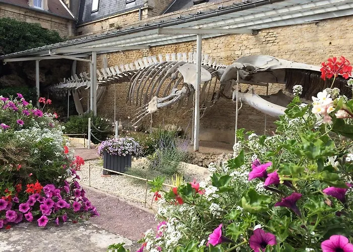 Le Caprice De La - Maison Avec Veranda, Jardin * Luc-sur-Mer